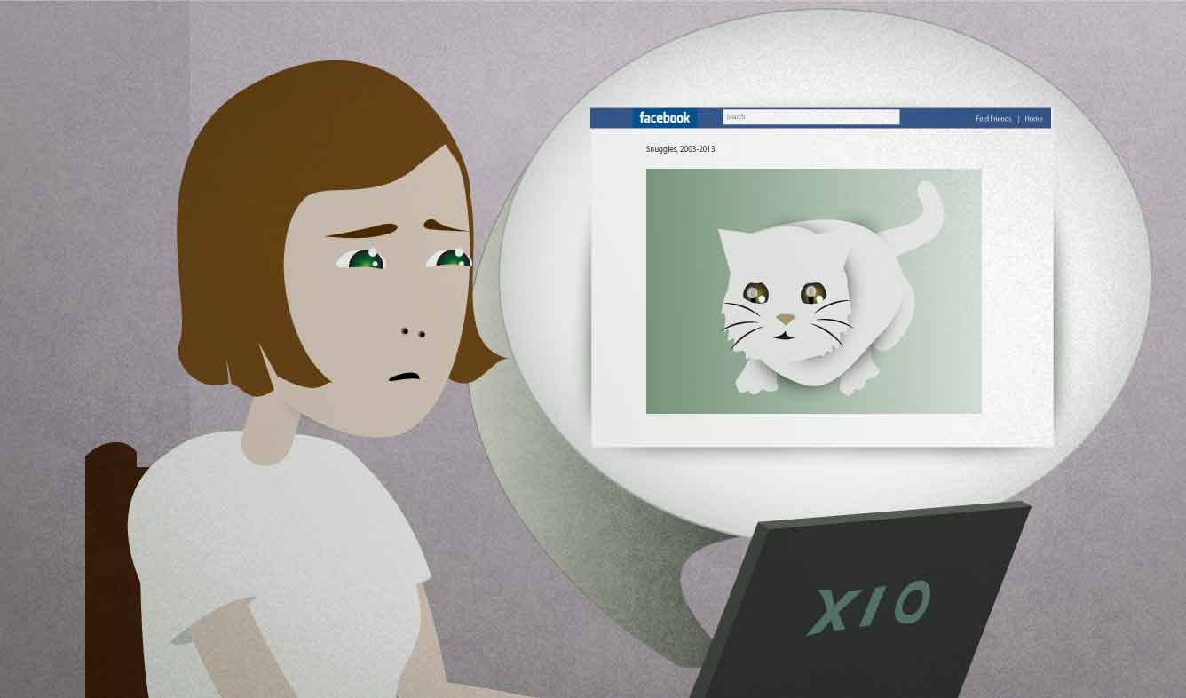 English Lesson: After 10 years, my beloved kitty Snuggles has passed away.